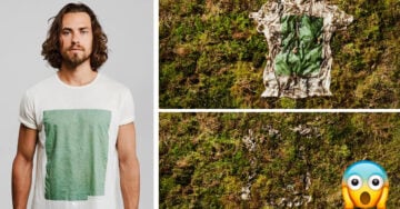 Crean camiseta 100% biodegradable hecha de plantas y algas marinas