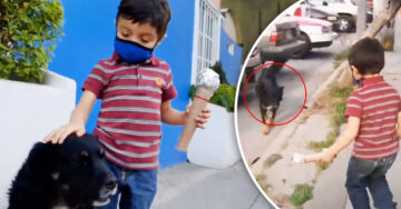 Niño hace reportaje de perritos callejeros y su mensaje de amor se vuelve viral