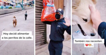 Con un bulto de croquetas al hombro recorre las calles para alimentar perritos callejeros