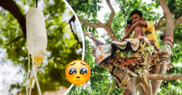 Joven vive 11 días en un árbol para no contagiar a su familia de covid-19
