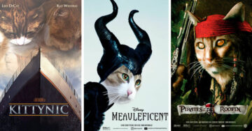 Artista reemplaza actores con gatitos en posters de famosas películas