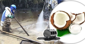 Ingeniero crea producto a base de coco para limpiar los derrames de petróleo