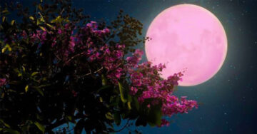 La ‘Luna de fresa’ está por llegar; será la última superluna del año