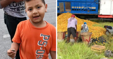 Niño pide comprar naranjas mientras los adultos las roban; les dio una gran lección