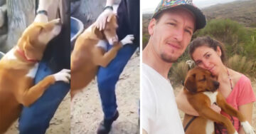 Reportero visita un refugio de animales y un perrito lo elige como su nuevo dueño