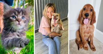 15 Mascotas que encontraron un hogar amoroso y ahora son felices