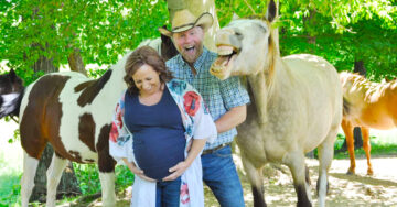 Caballo interrumpe sesión fotográfica de maternidad y se convierte en el protagonista