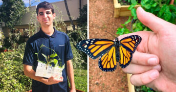 Joven siembra miles de flores durante 12 años y salva cientos de mariposas en extinción