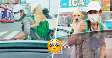 ¡Amigos fieles! Joven trabaja cargando a su perrito en la espalda mientras limpia vidrios