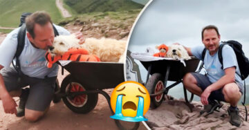 ¡Triste despedida! Hombre lleva su perro por una última aventura en su ruta favorita