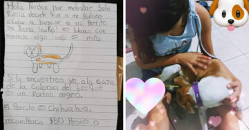 Niña hizo un dibujo a mano de su perrito para buscarlo y logró encontrarlo