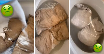 Mujer lava las almohadas de su esposo por primera vez en 5 años y queda horrorizada