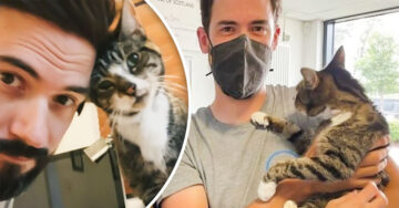 Gato se reencuentra con sus dueños después de desaparecerse durante 10 años