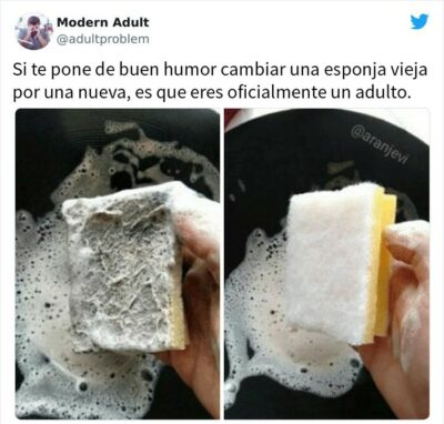 Memes De La Vida Adulta Con Los Que S Te Identificar S