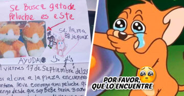 “Lo extraño mucho”: niña hace un cartel para encontrar a su peluche extraviado y se vuelve viral