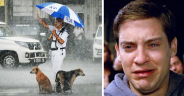 Perritos sin hogar buscan refugio de la lluvia bajo el paraguas de un policía