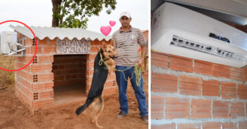 ¡Dueño del año! Instala aire acondicionado en la casa de su perrito para que esté cómodo