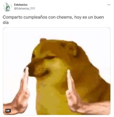 Cheems, El Perrito De Los Memes, Acaba De Cumplir 11 Años