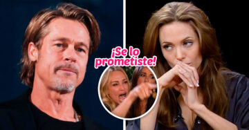 Brad Pitt demanda a Angelina Jolie por vender una parte del viñedo donde se casaron