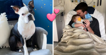 ¡Héroe peludo! Perrito salvó la vida de una bebé de 6 meses que se ahogaba mientras dormía