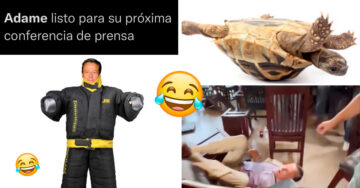 ¡Lo hizo de nuevo! Alfredo Adame perdió otra pelea pero ganó increíbles memes 