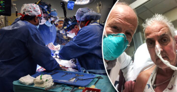 Muere el hombre que recibió el primer trasplante de corazón de cerdo a causa de un virus