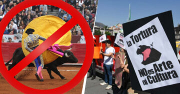 Juez ordena la suspensión definitiva de las corridas de toros en la Plaza México