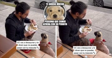 Le negaron la entrada a su perrita a un restaurante, así que comió afuera con ella