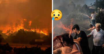 Ola de calor provoca incendios forestales en Europa: el fuego arrasa Portugal