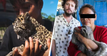 Familia con animales exóticos abre sus puertas a Luisito Comunica y él los denuncia