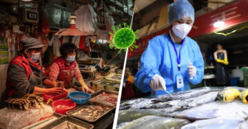 Investigadores confirman que covid-19 se originó en el mercado de animales de Wuhan