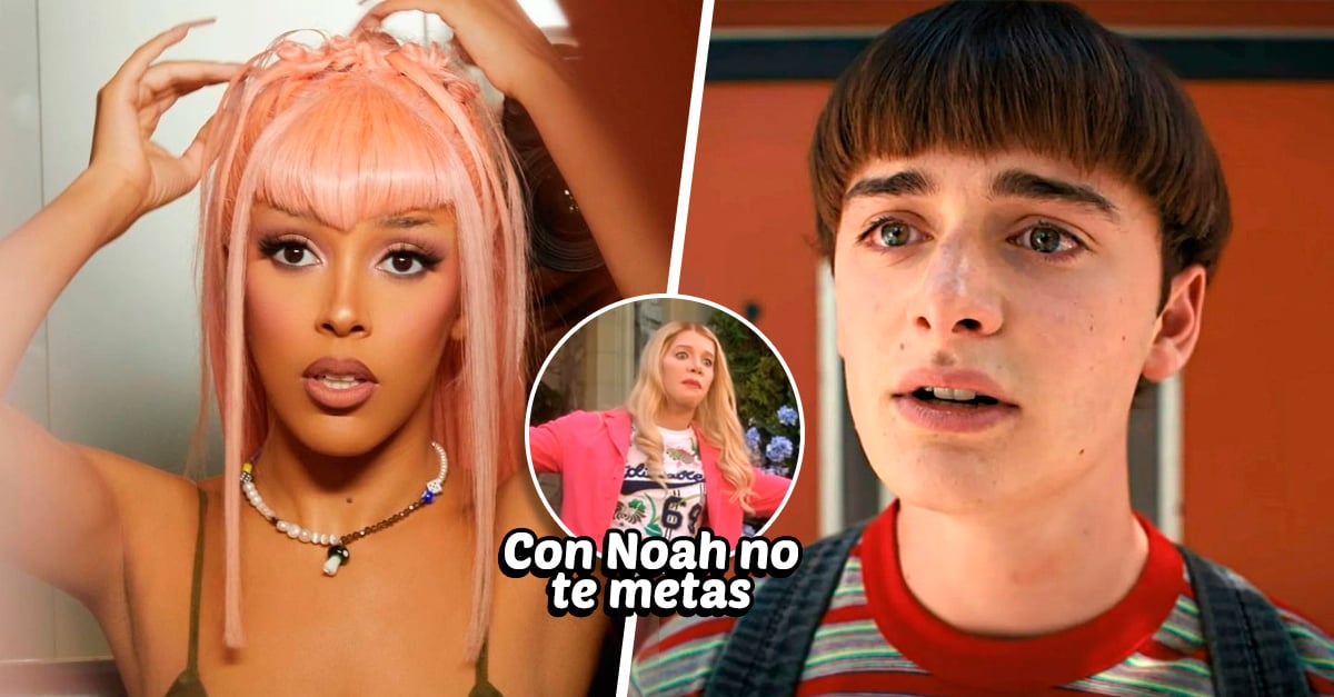 Doja Cat Pierde Seguidores Tras Criticar A Noah Schnapp