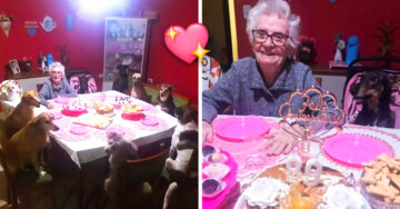 Abuelita cumplió 89 años y sus perritos le “organizaron” una fiestecita