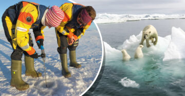 ¿Se acerca el fin? El ártico se está calentando 4 veces más rápido que el resto del mundo