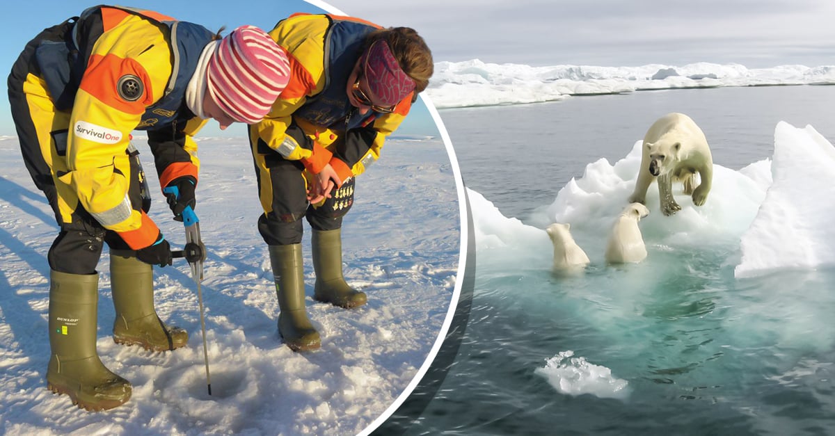 The Arctic is warming 4 times more than the rest of the Earth - Imageantra