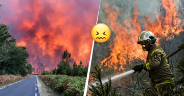 El monstruoso incendio forestal que está asolando a Francia; es el peor de la historia