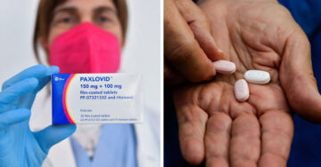 Paxlovid, el tratamiento de Pfizer contra covid-19 ya estará disponible en México