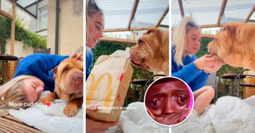 Se despidió de su perrito con un adorable picnic lleno de hamburguesas y chocolates