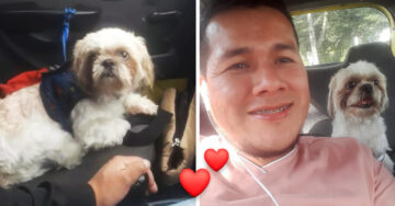 Héroe sin capa: Taxista adopta a un perrito que pasajeros abandonaron en su carro