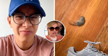 Tiktoker contó cómo se encontró el cadáver de un ratón en su zapato y se hace viral