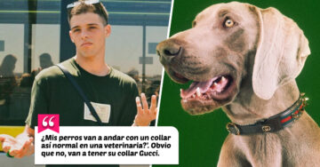 ¿Todo bien en casa? Influencer pide dinero para comprar correas Gucci a sus perros