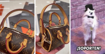 Louis Vuitton lanza bolsa para recoger popis de perritos por solo 900 dólares