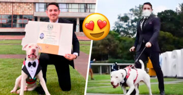 Perrito posa con esmoquin en la graduación de su dueño y parece todo un licenciado