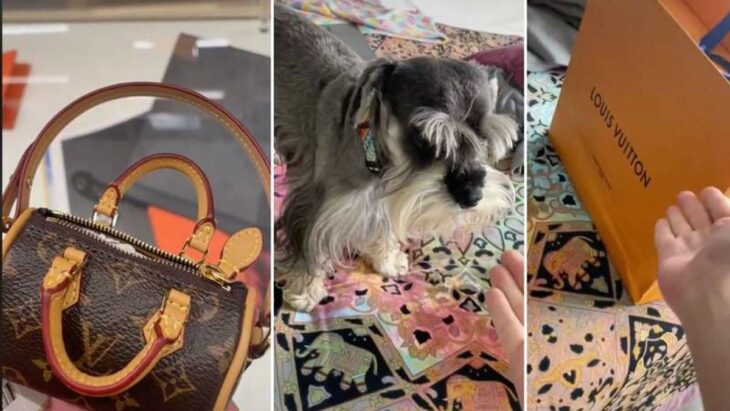 VIDEO: Louis Vuitton vende bolso para heces de mascotas a 17 mil