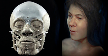 Científicos revelan cómo se vería el rostro de la mujer más antigua de la historia