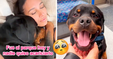 Su perro rottweiler fue rechazado por su apariencia “peligrosa”; ella no dudó en consolarlo