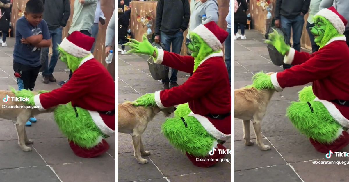 Grinch reacciona molesto con un niño que le pide foto