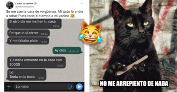 ¡Atrapado! Vecino descubre que un gatito le ha estado robando sus ahorros