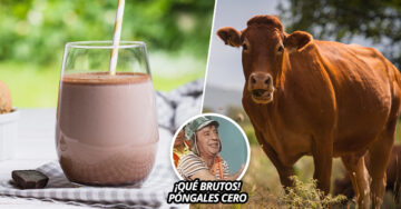 Estadounidenses afirman que la leche con chocolate proviene de las vacas cafés