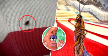 Cucaracha desfila en la Met Gala 2023 y se convirtió en un ícono de los memes